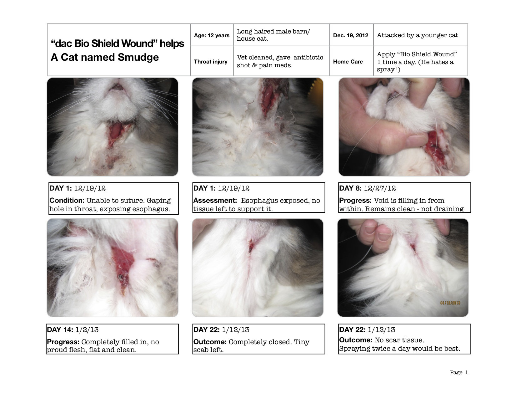 smudge-bio-shield-wound-2012